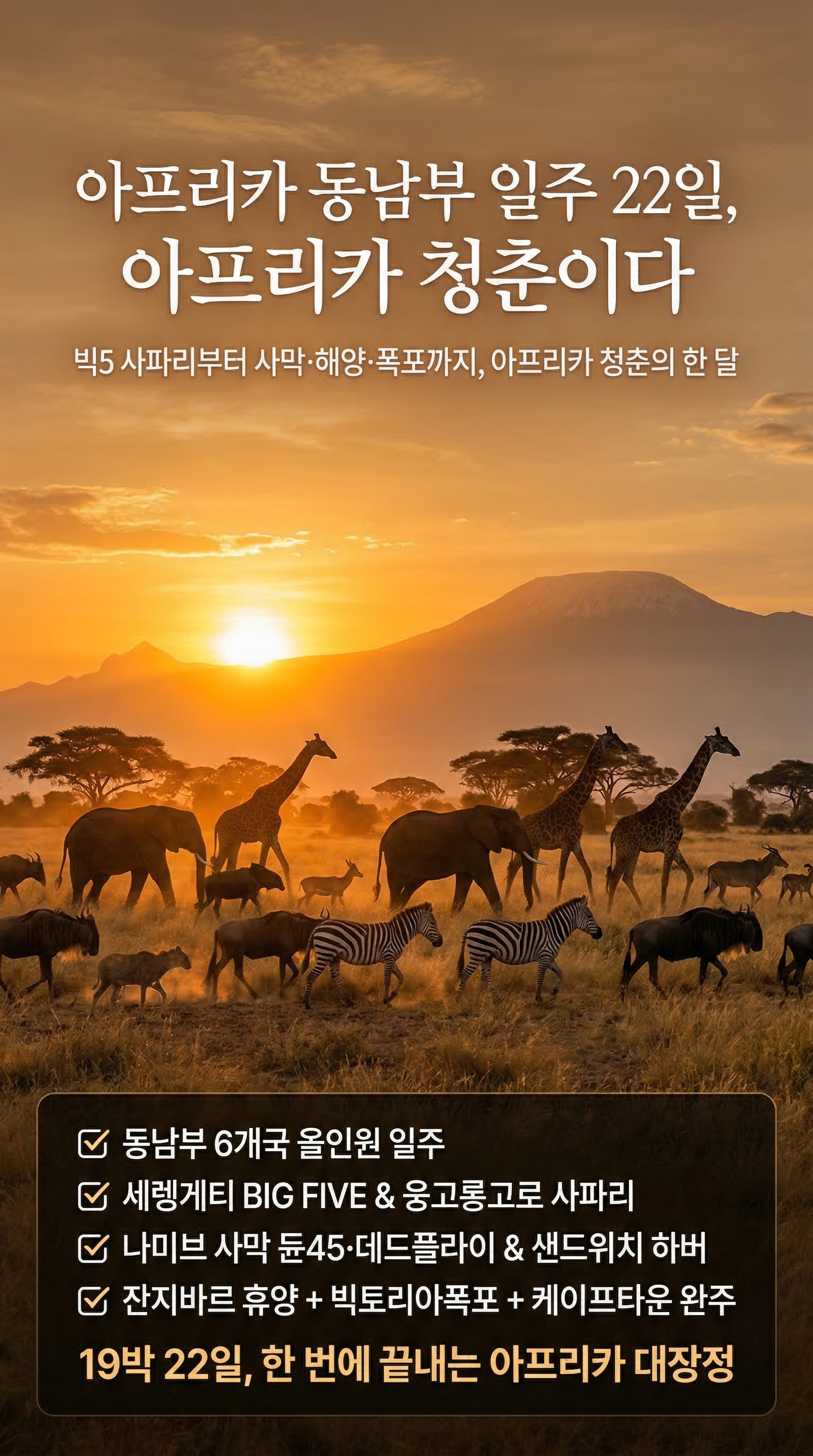 상품 하이라이트 1