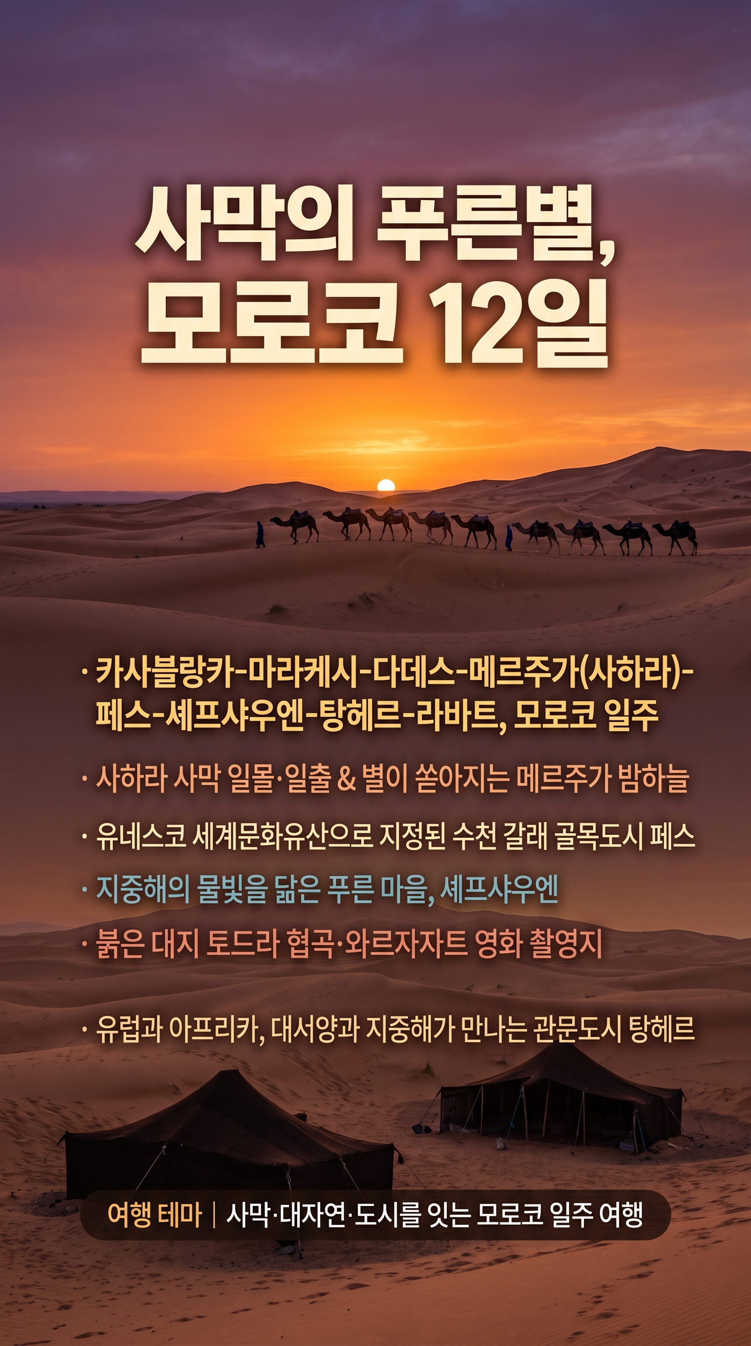 상품 하이라이트 1