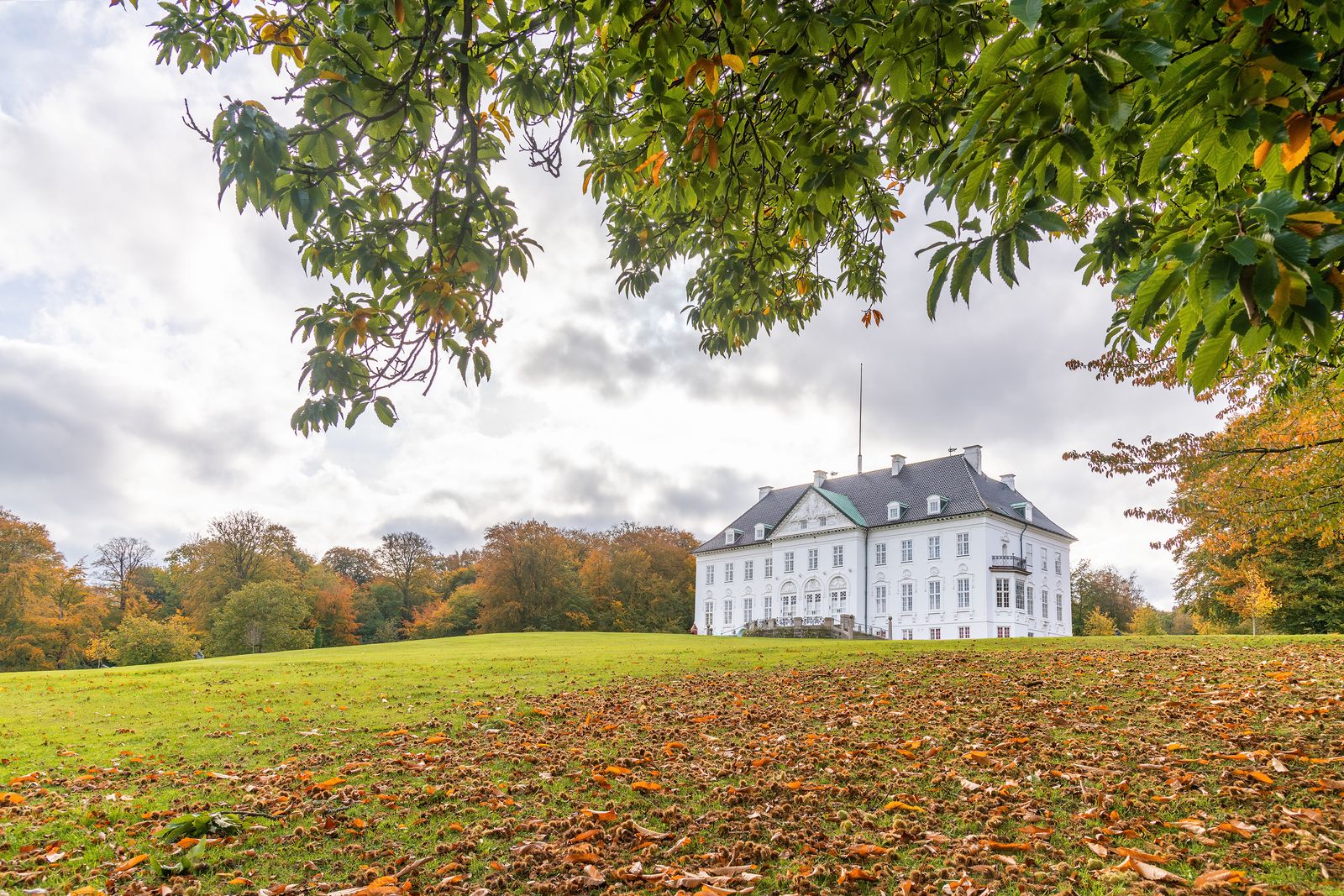 황금빛 단풍으로 물든 숲속, 덴마크 왕실의 평온한 별궁 마르셀리스보르.