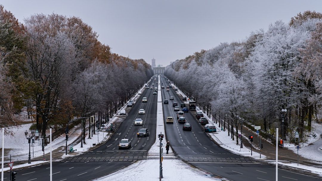 눈 덮인 티어가르텐 사이로 웅장하게 뻗은 베를린의 겨울 거리