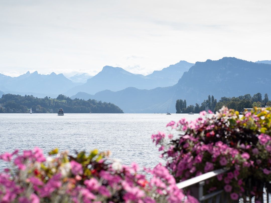 꽃향기 머금은 호숫가에서 마주하는 푸른 알프스