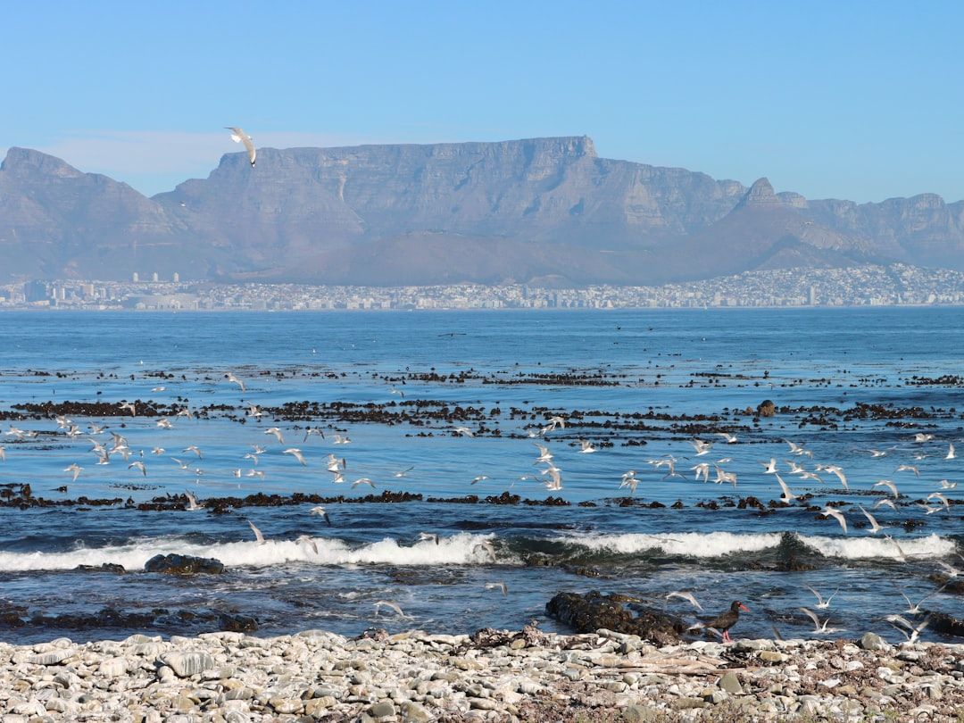 푸른 바다 위로 펼쳐진 신비로운 테이블 마운틴의 웅장한 파노라마.