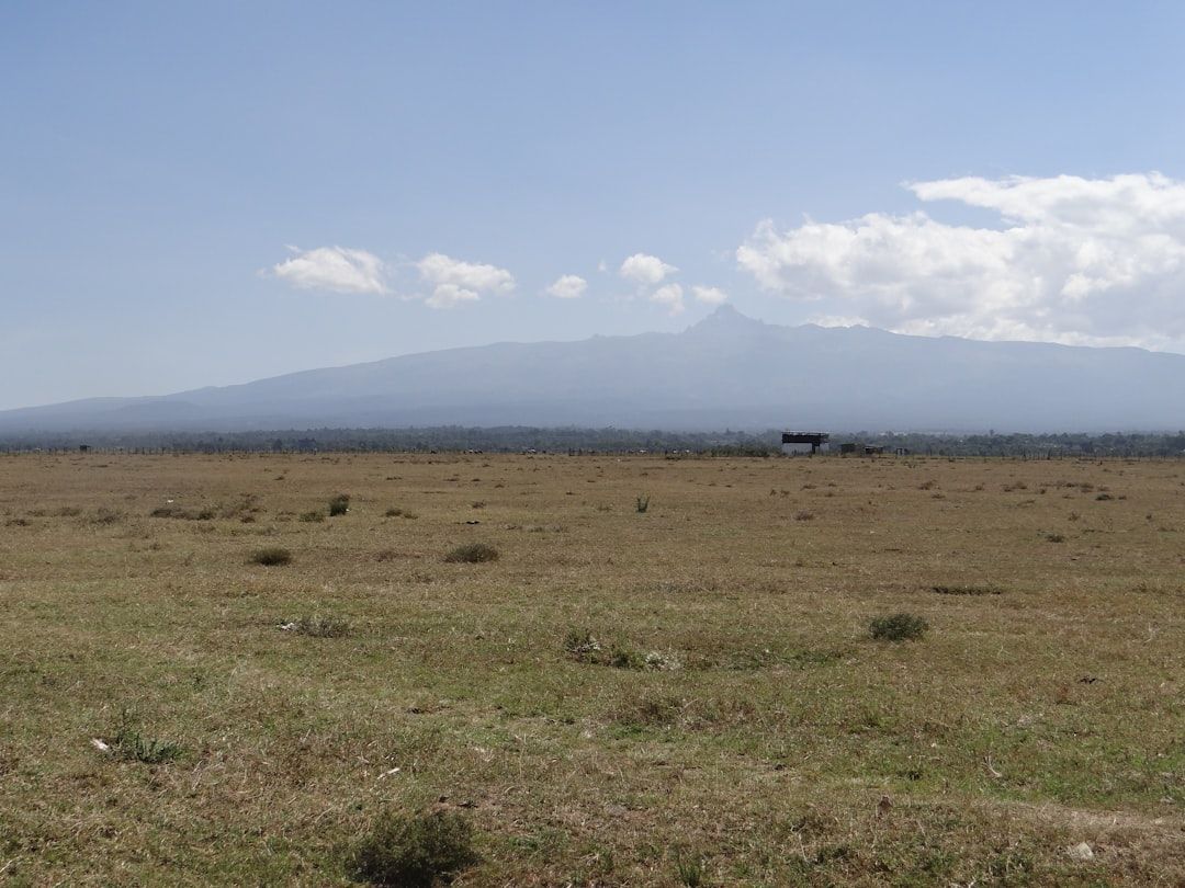 끝없이 펼쳐진 초원 너머 솟아오른 아프리카 제2봉의 위엄