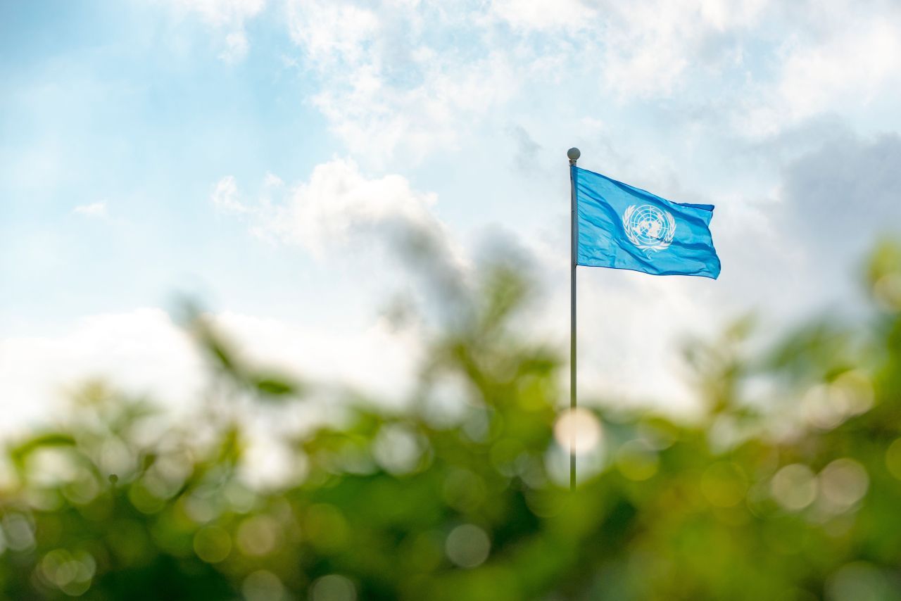 푸른 하늘과 초록빛 숲 사이로 펄럭이는 평화의 상징, 유엔 본부