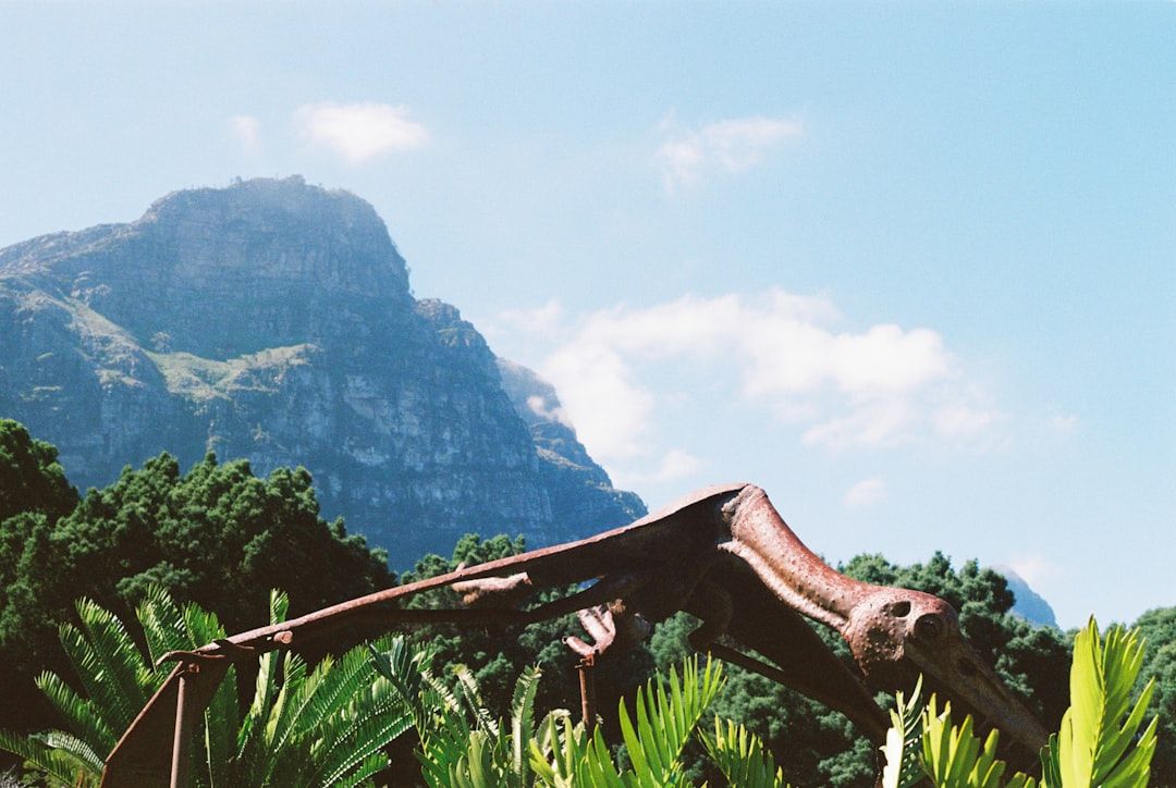 웅장한 테이블 마운틴 아래, 태초의 자연을 품은 커스텐보스의 신비로운 풍경.