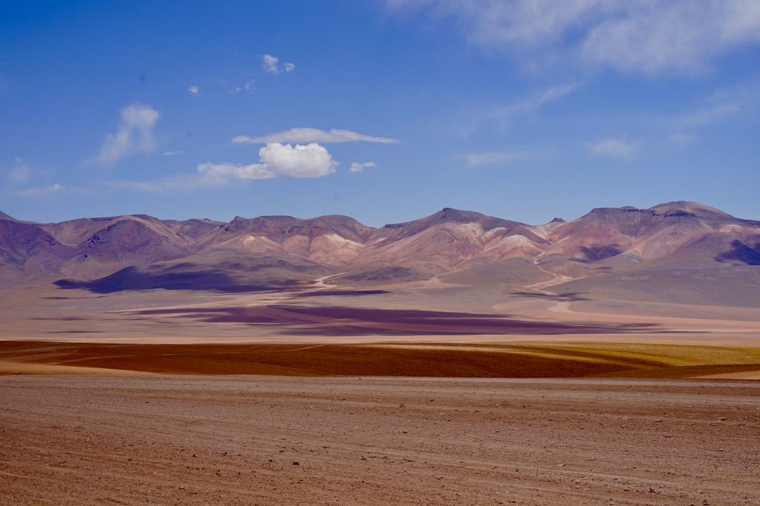 살바도르 달리 사막