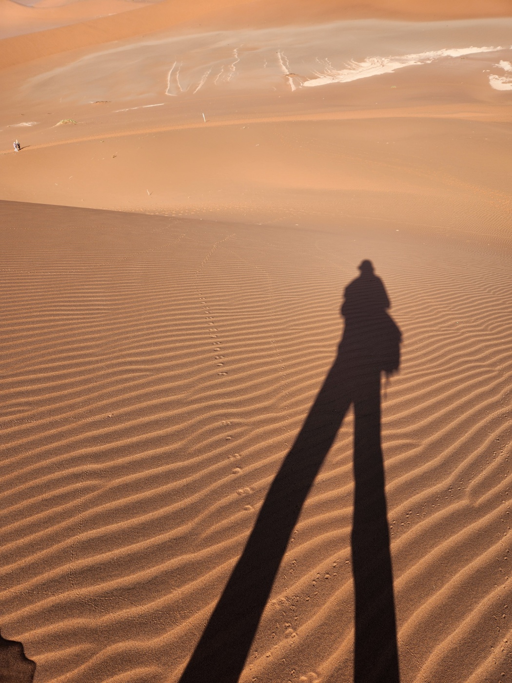 아프리카는 청춘